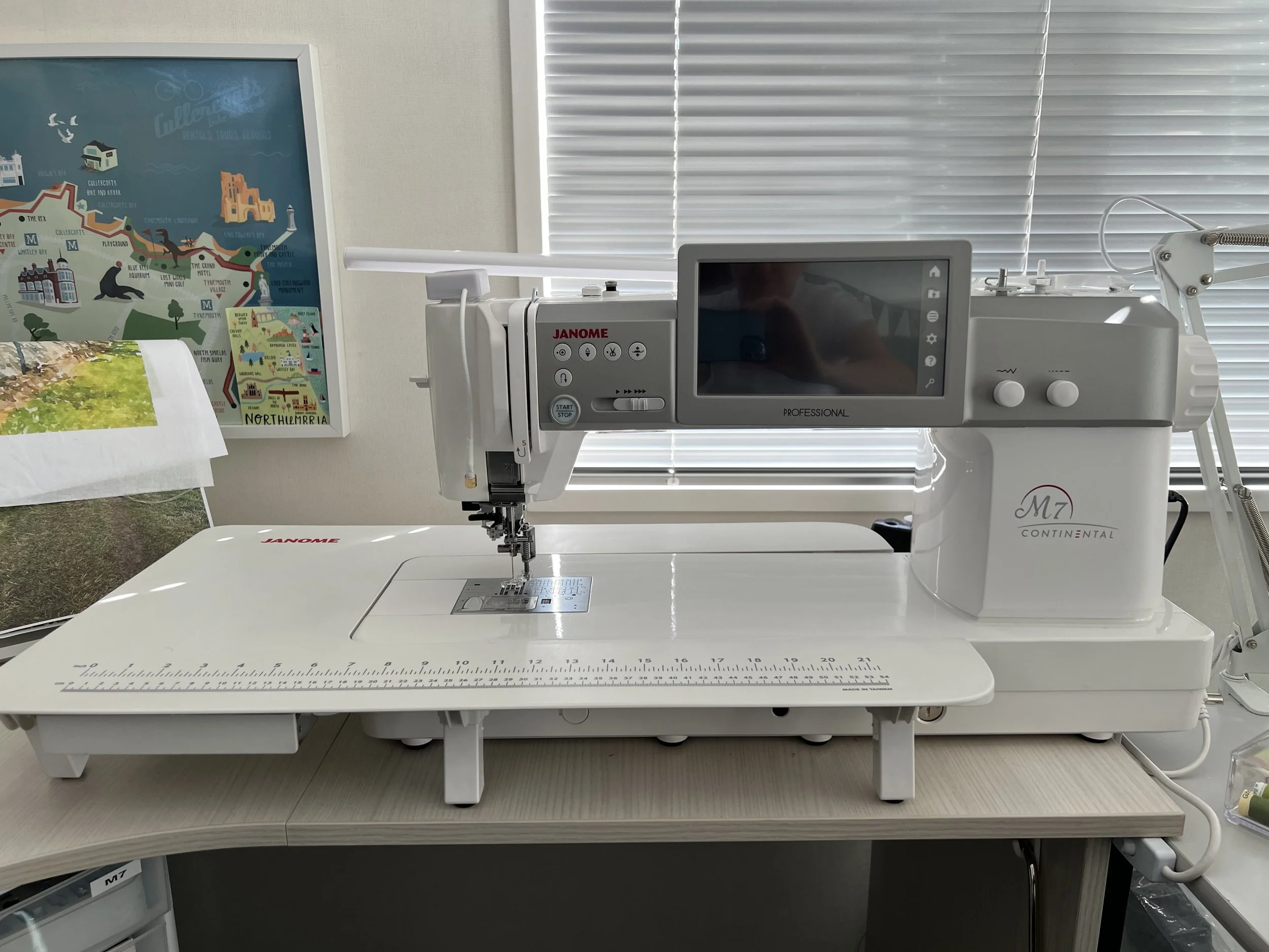 Janome — Vicki Crowther textile artist