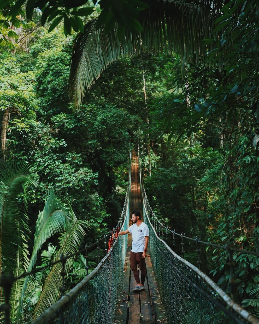 &quot;Swinging into adventure at Bocawina Rainforest Resort! 🌳🌲 The suspension bridge is just the beginning - wait until you soar across the canopy on the zipline! 🌈🦜
.
Photo @ burak7_3 on Instagram
.
.
 #BocawinaBliss #RainforestThrills #Suspens
