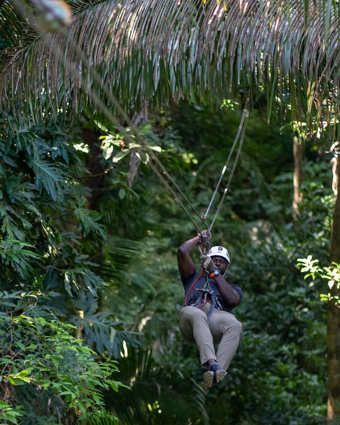 Zipline through the canopies at Bocawina Rainforest Resort and feel like a true jungle explorer! 🌳🌟 From breathtaking heights to exhilarating speeds, every moment is an adrenaline rush! 😎
Bring the entire family for a fun jungle adventure! 🏃🏃&zw