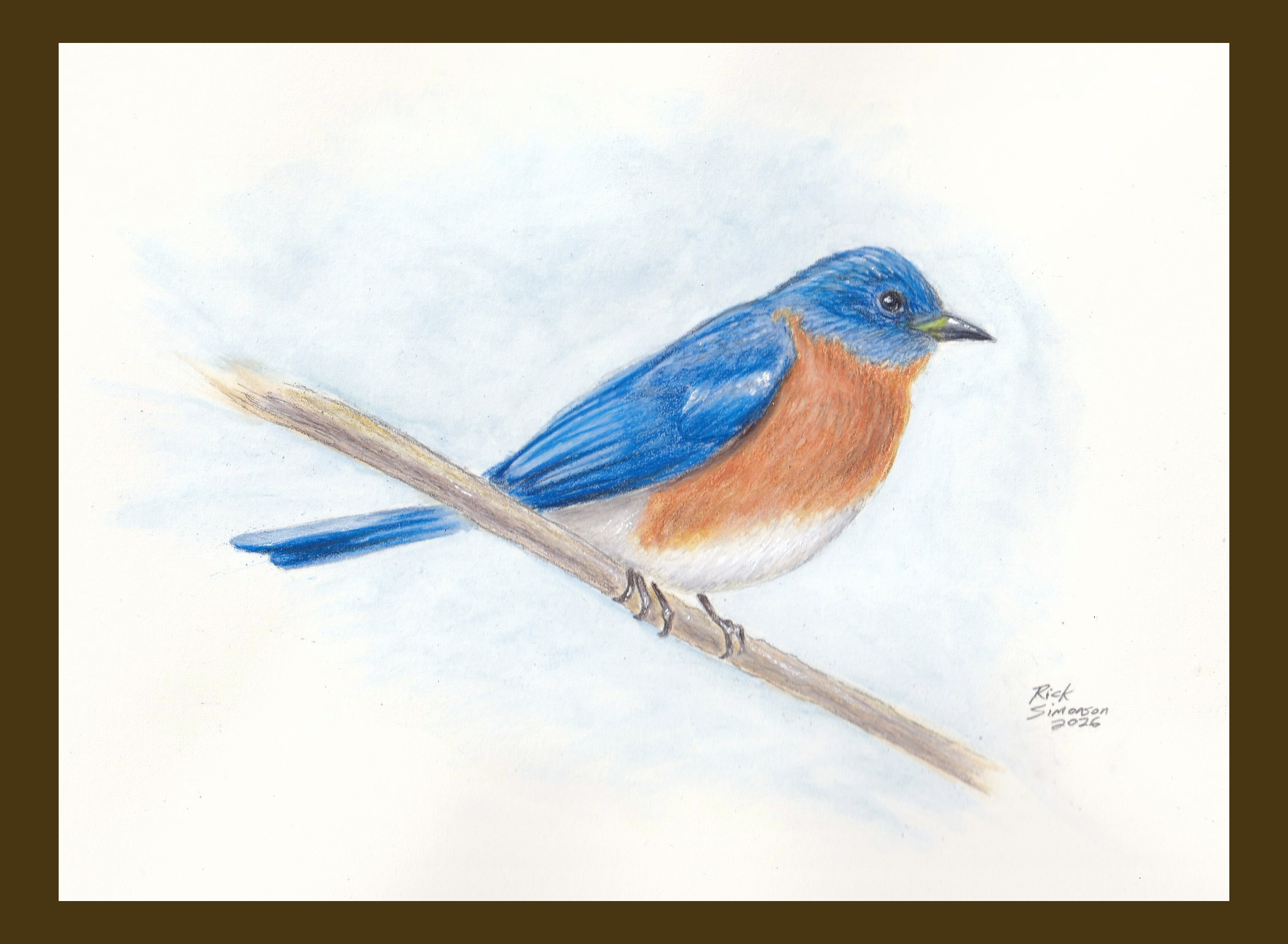 Illustrating Songbirds in Mixed Media workshop