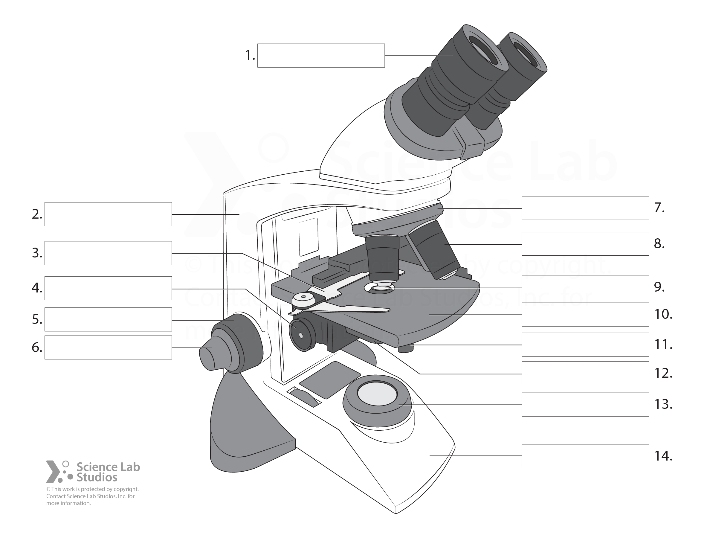 illustration-19.png