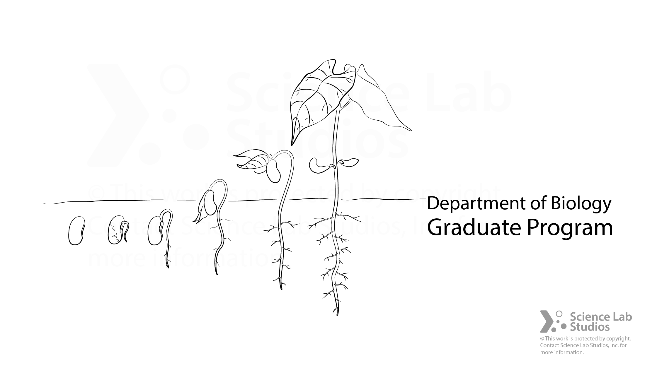 graphic design1-08.png