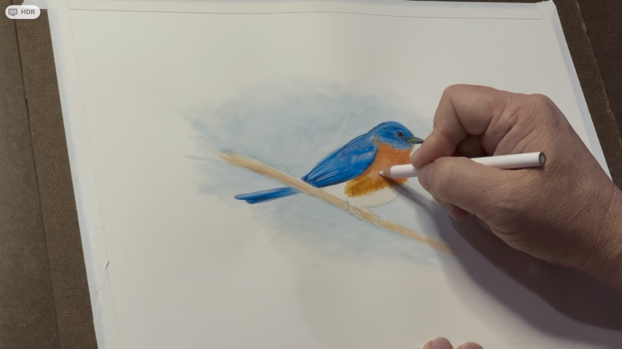 Illustrating Songbirds in Mixed Media workshop