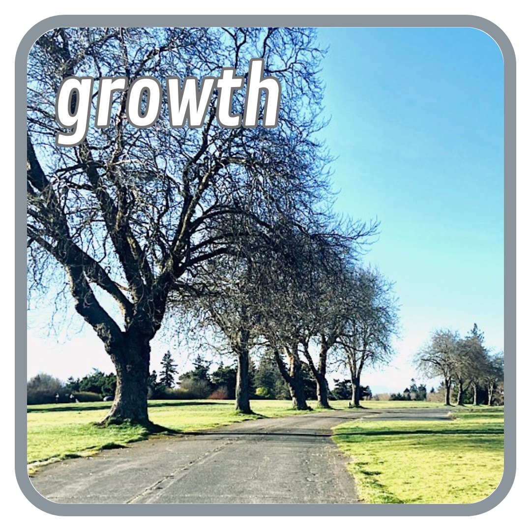 Happy May! 
This month's studio theme is Growth: Review your life journey so far. 
Let this month be a time to reflect on how far you&rsquo;ve come.
Take some time to witness your earthly accomplishments, physical changes, mental and emotional growth