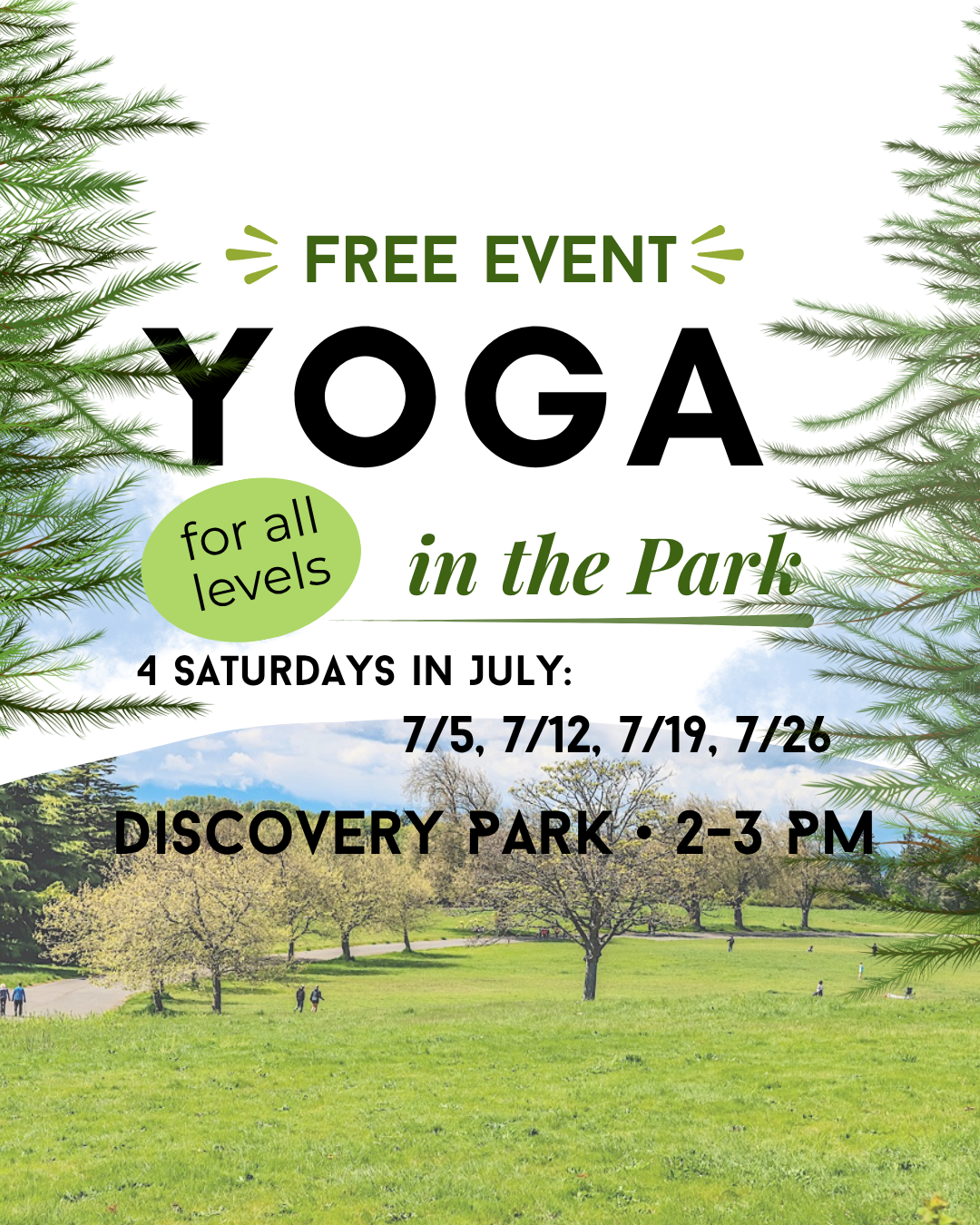Yoga in the Park