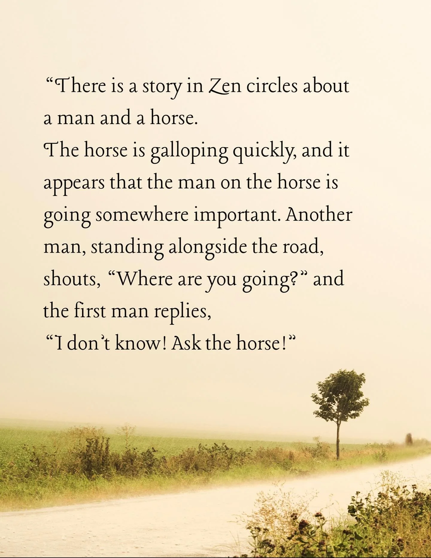 &ldquo;This is also our story. We are riding a horse, we don&rsquo;t know where we are going, and we can&rsquo;t stop. The horse is our habit energy pulling us along, and we are powerless. We are always running, and it has become a habit. We struggle
