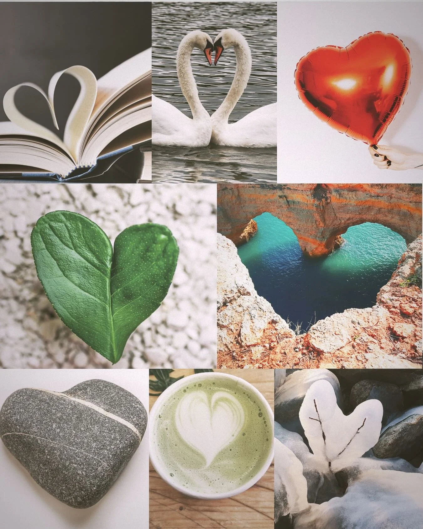 Happy February ~~ This month, let&rsquo;s all look out for acts of love, compassion, connection and kindness. Despite what we&rsquo;re seeing and hearing on the news, signs of love and goodness crucial to our survival can be found everywhere.
For a l