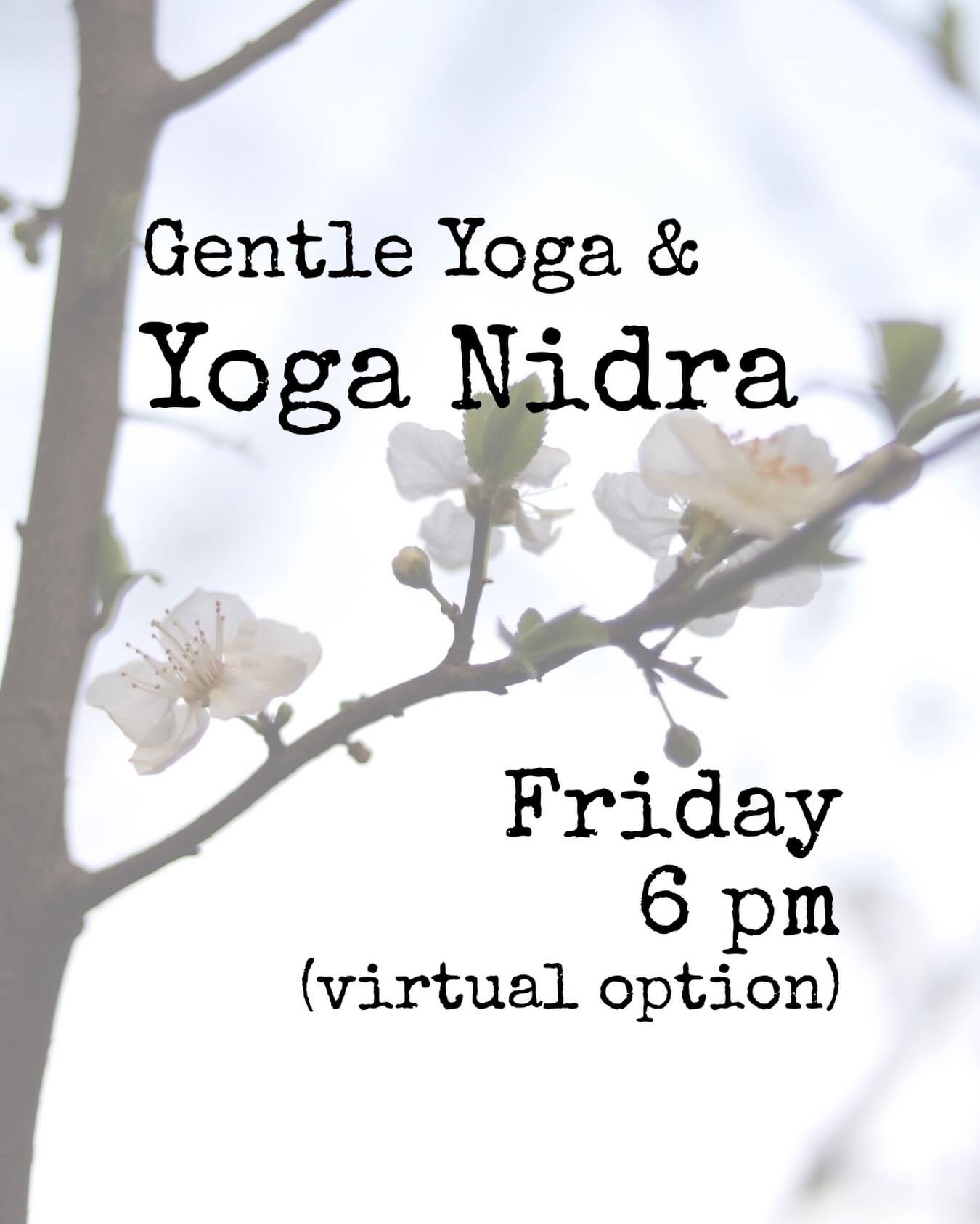 Set aside some quiet time for yourself this Friday. Gentle movement and Yoga Nidra to end your week and awaken your inner light. 
Book your spot today: https://www.studiobookingonline.com/magnoliayogaandhealingarts/classes.html👉🔗
.
.
#fridaynightpo