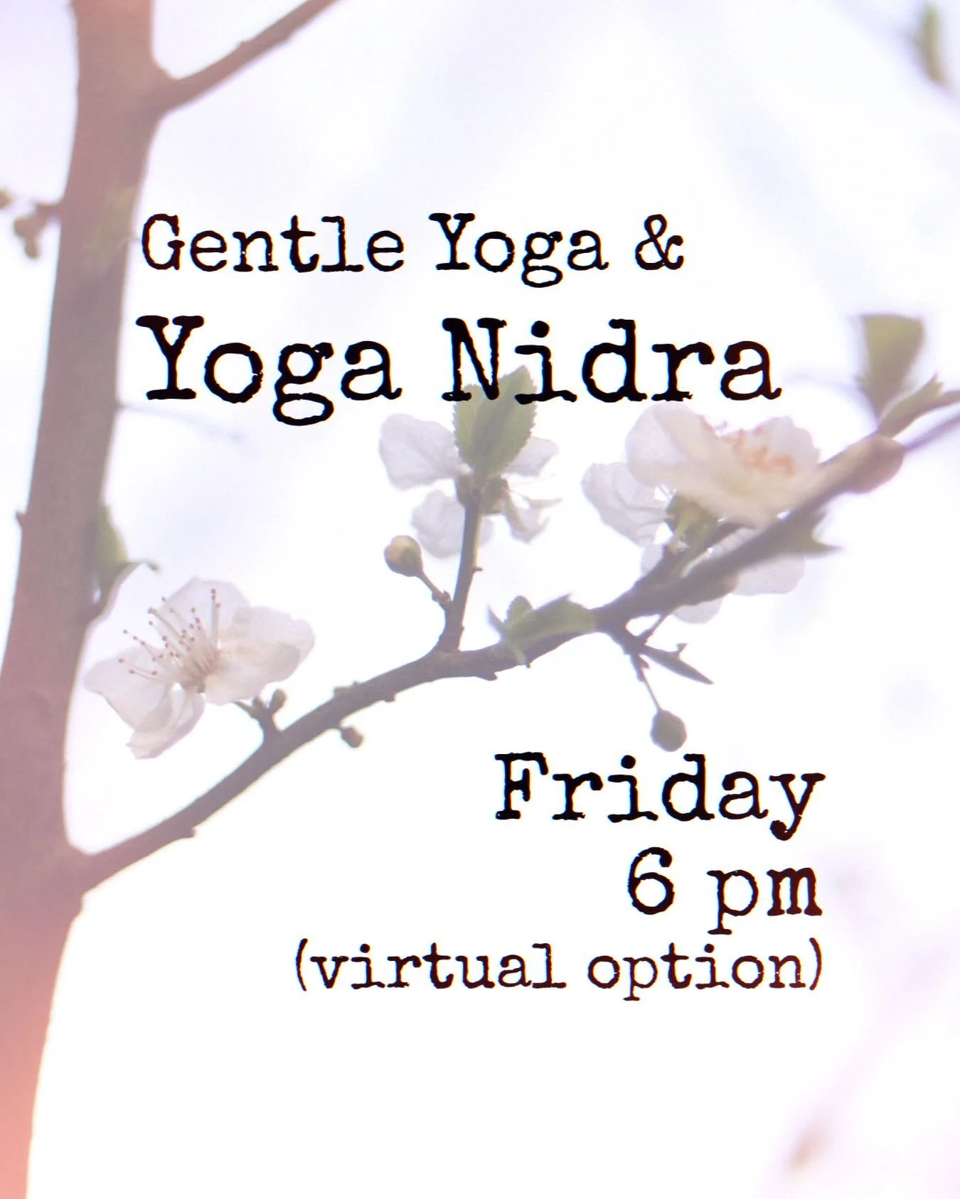 TONIGHT: Yoga Nidra with Ginger preceded by Gentle Yoga. Plus virtual option.
Book your spot today: https://www.studiobookingonline.com/magnoliayogaandhealingarts/classes.html
.
.
.
#yoganidra #gentleyogawithyoganidra #seattleyogastudio #magnoliavill