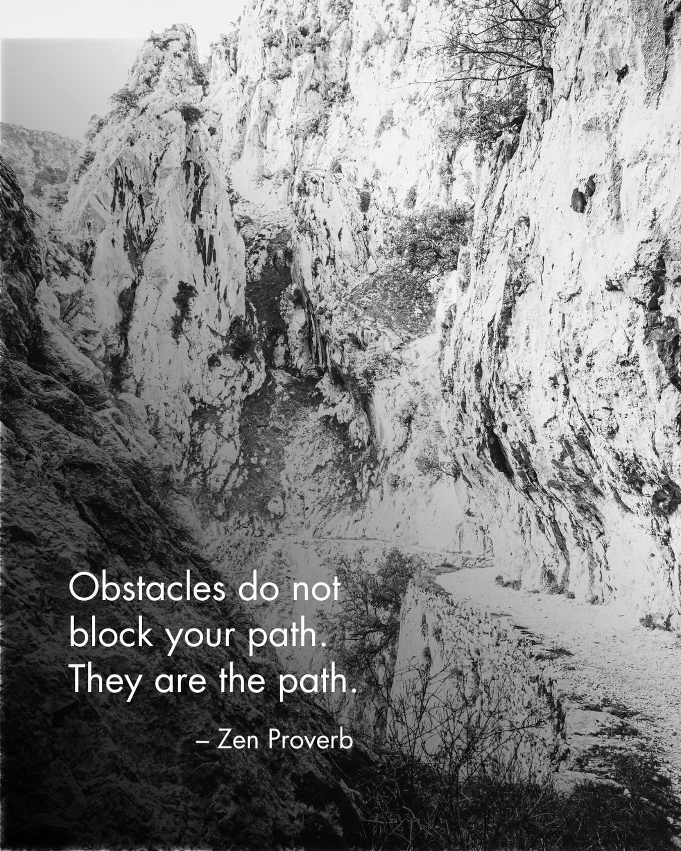 #zenproverb #reminders #obstaclesarethepath #seattleyogastudio #neighborhoodsanctuary