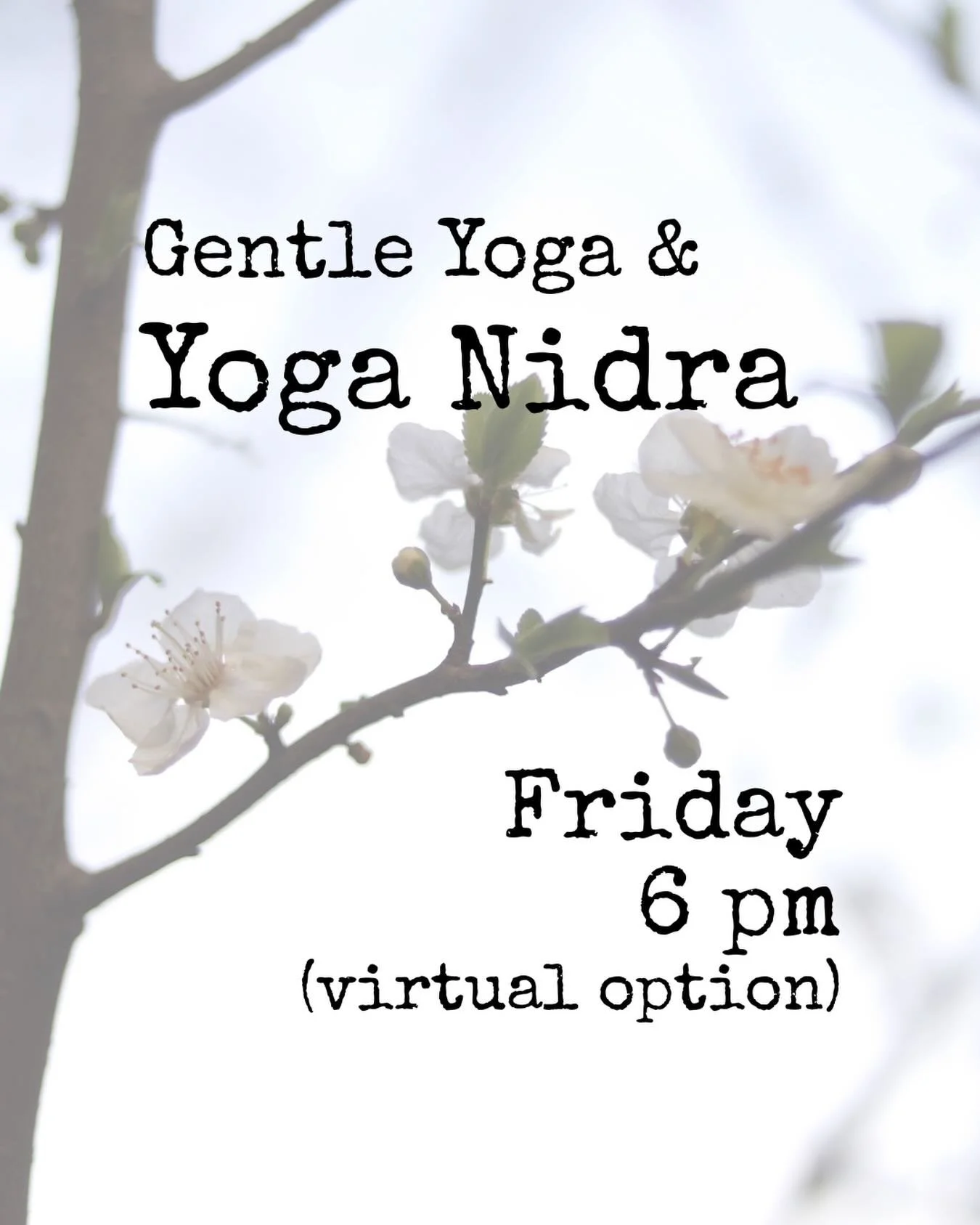 Set aside some quiet time for yourself this Friday. Gentle movement and Yoga Nidra to end your week and awaken your inner light. 
Book your spot today: https://www.studiobookingonline.com/magnoliayogaandhealingarts/classes.html👉🔗
.
.
#fridaynightpo