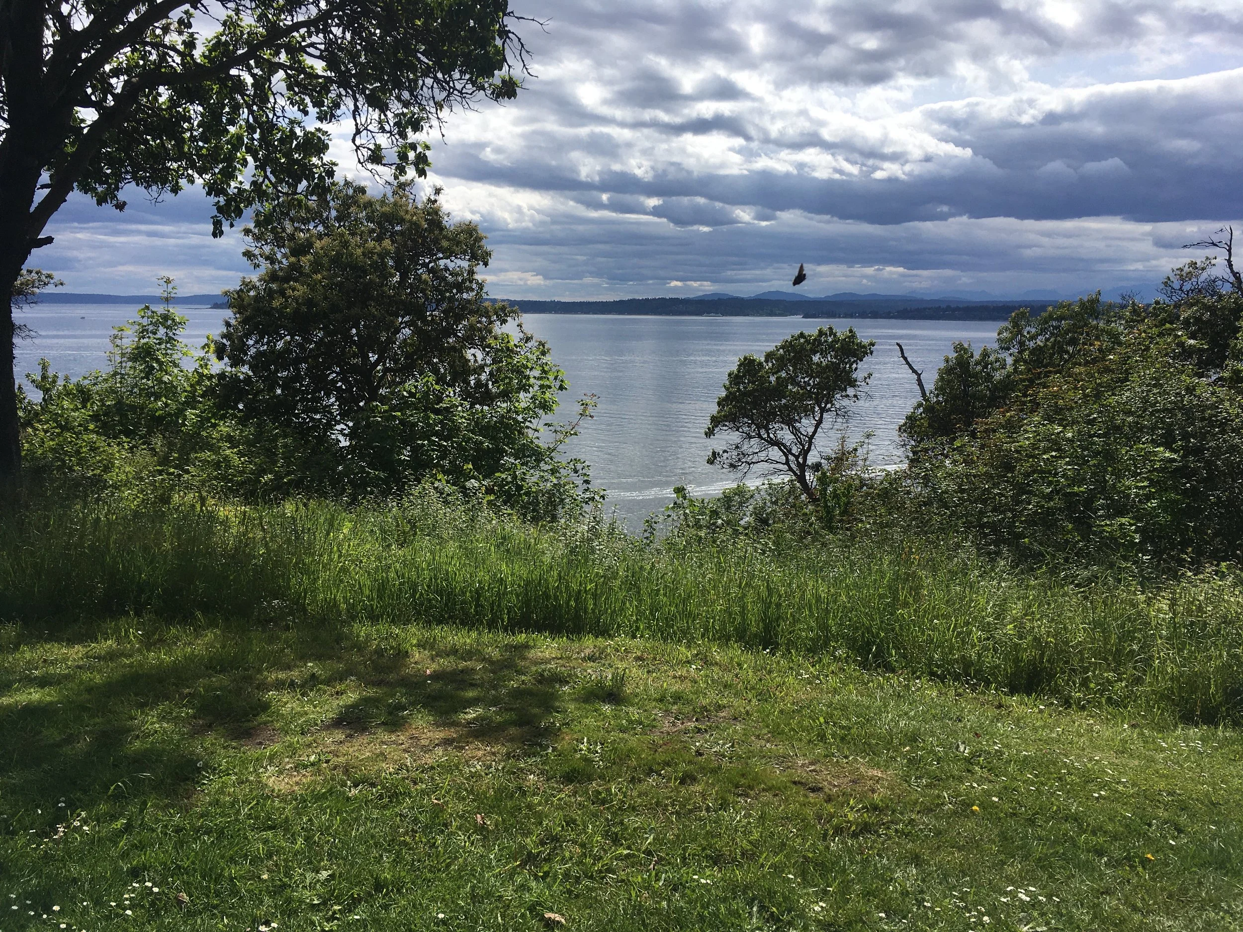 Summer Outdoor Yoga on the Bluff