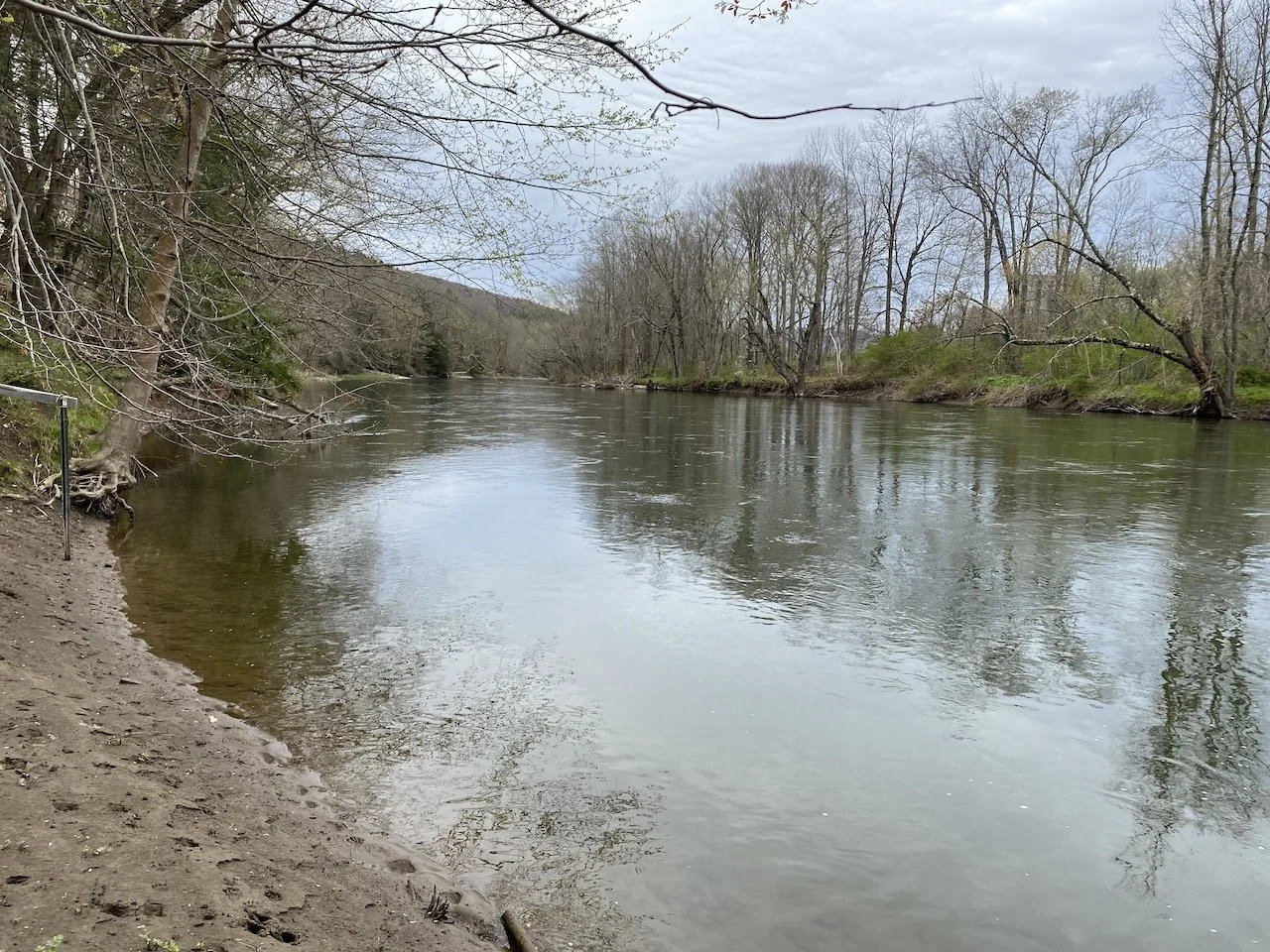 NeoClassical Revival Mansion — Kulaski Realty, LLC