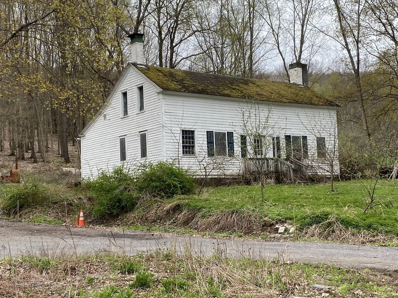 NeoClassical Revival Mansion — Kulaski Realty, LLC