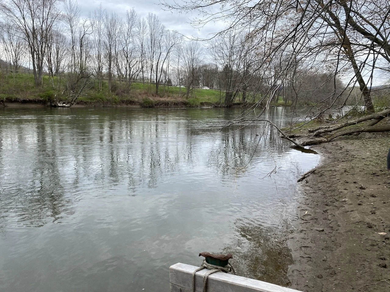 NeoClassical Revival Mansion — Kulaski Realty, LLC