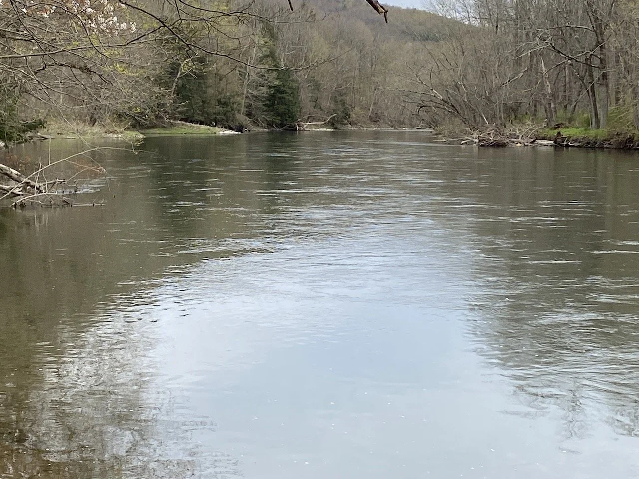 NeoClassical Revival Mansion — Kulaski Realty, LLC