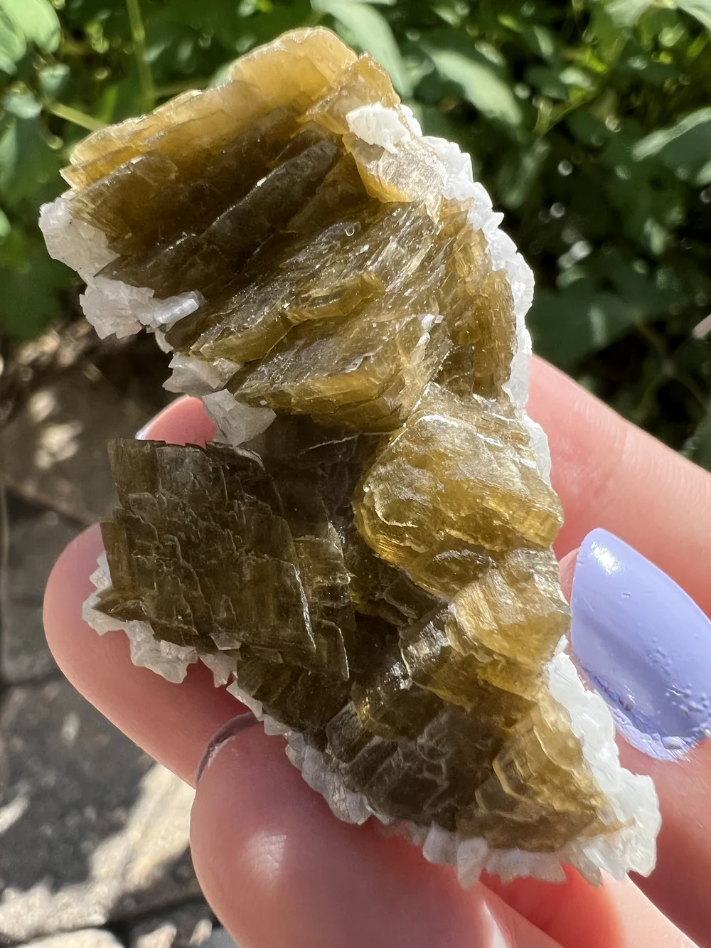 Botryoidal Siderite