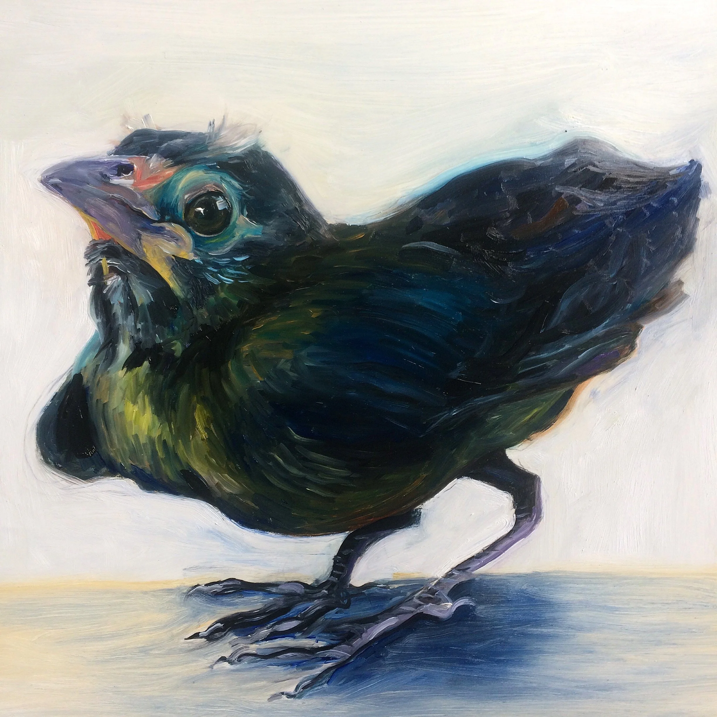 Hungry Bird #1, 16x16", oils on panel