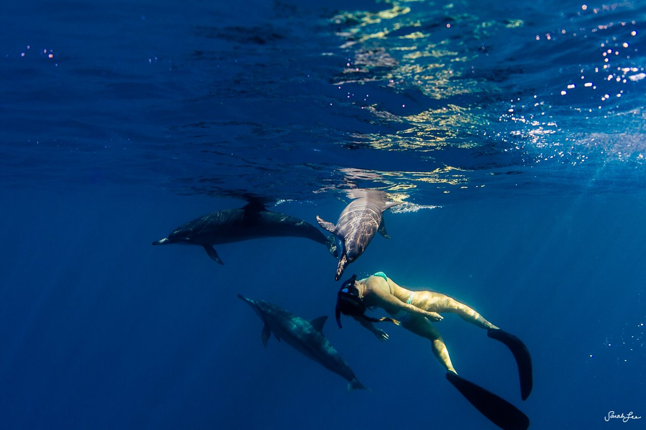 Mermaids