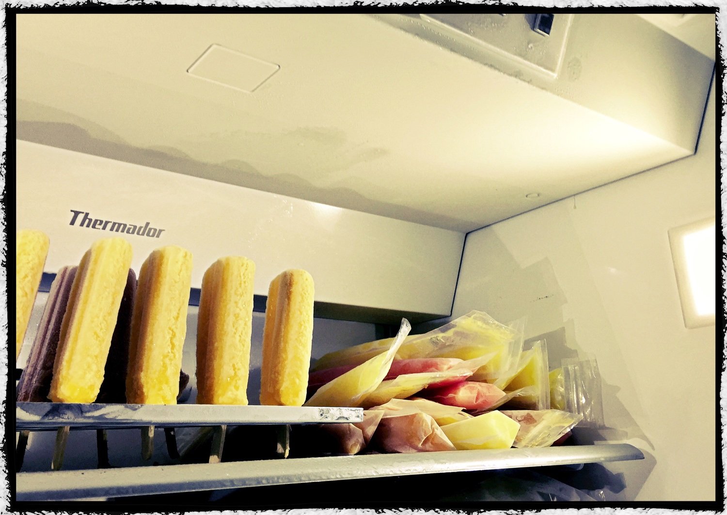The Big Chill Thermador Style