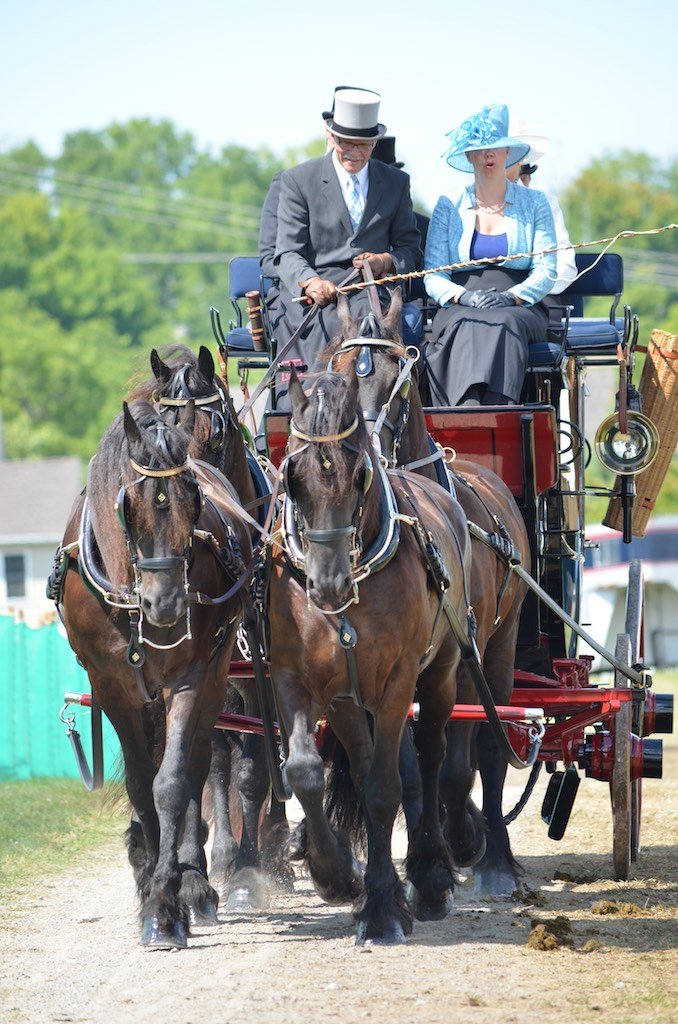Horse Power