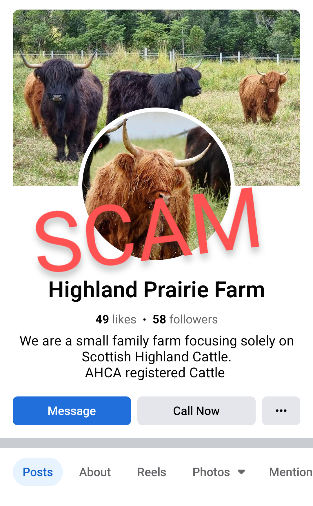 SCAM - Highland Prairie Farm
