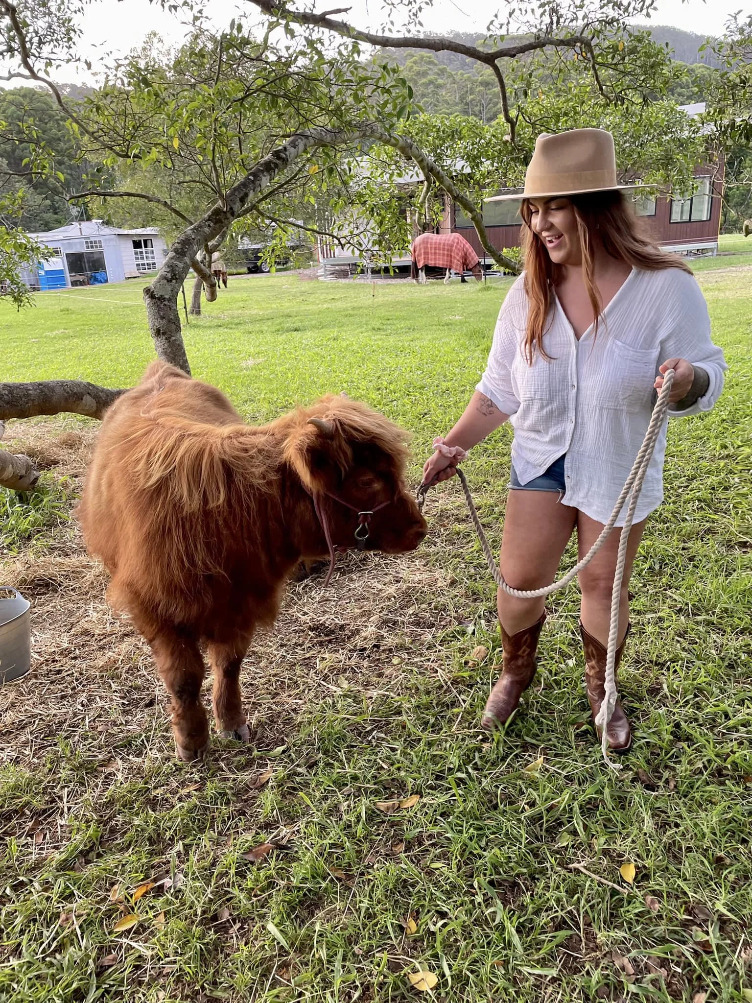 A woman with long red hair, wearing a beige wide-brimmed hat, white shirt, and cowboy boots, is holding a red cow by a rope in a green grassy field. The cow has long reddish-brown fur and is standing next to a small tree with a backdrop of houses, trees, and hills.