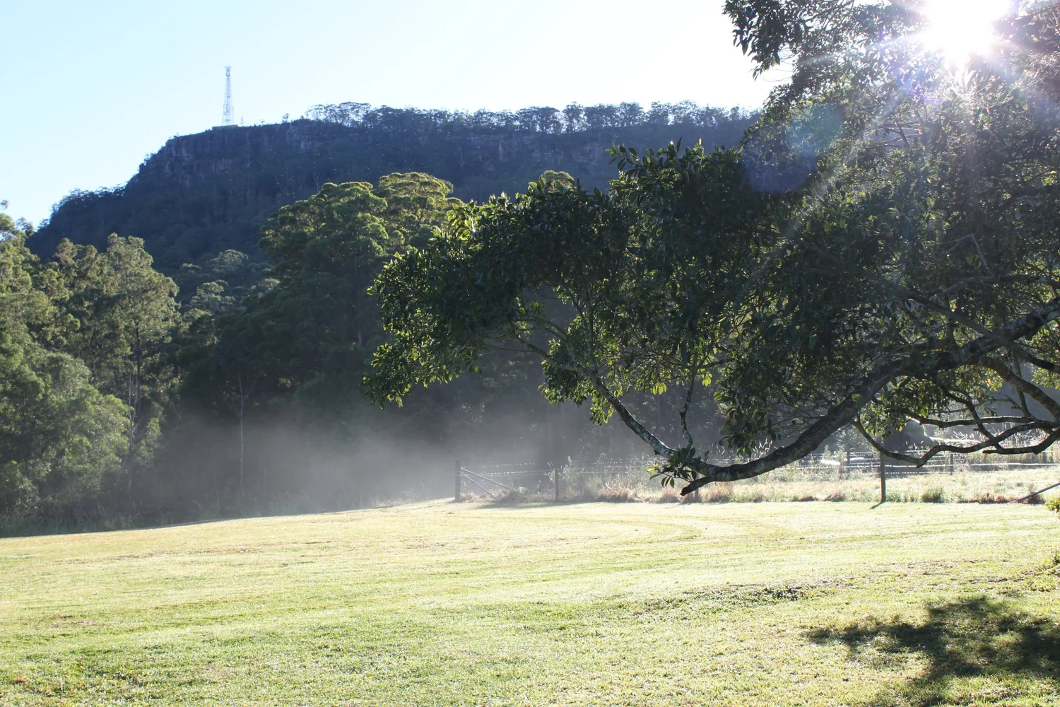 Farm & Animal Assisted Bovine Therapy — Koolah Creek Highland Cattle