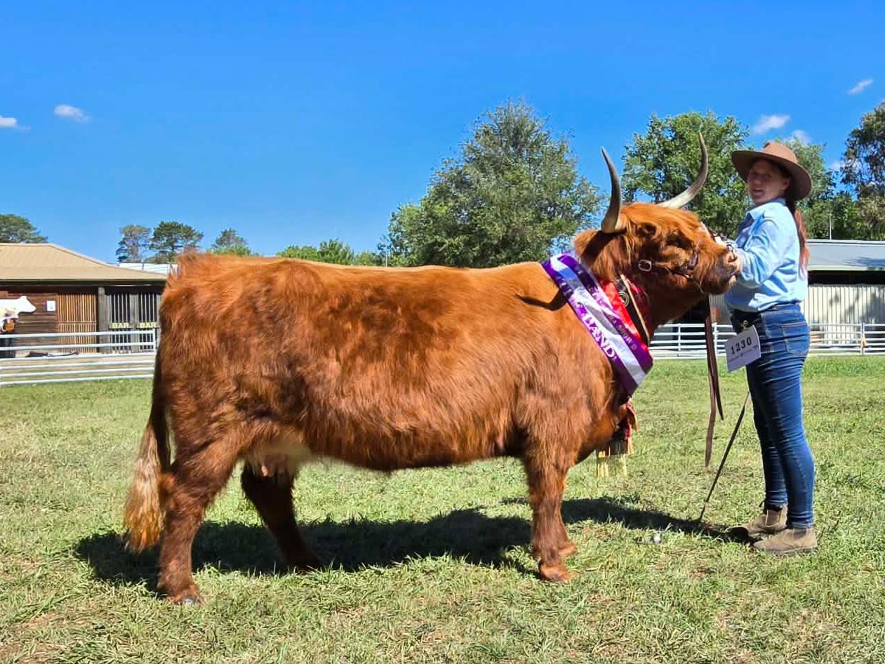 Brianne Ruadh at Canberra Royal Show