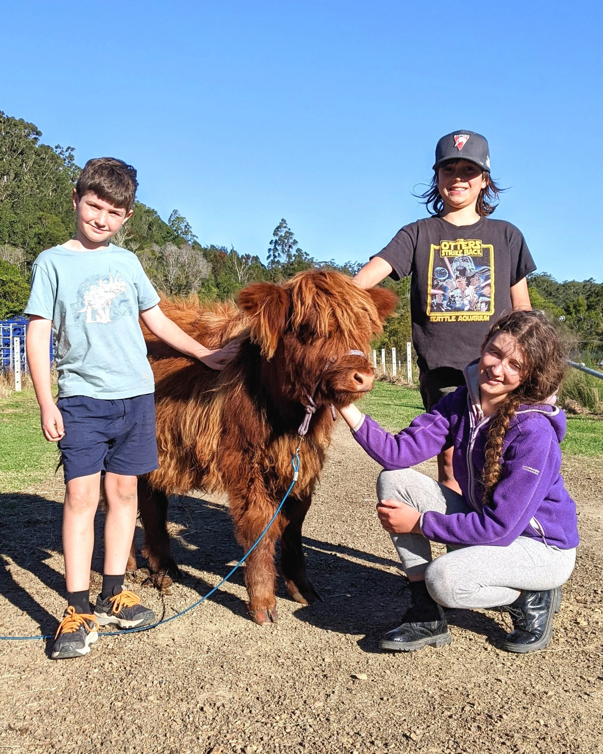 Three children and a cow outdoors on a sunny day with green trees in the background.