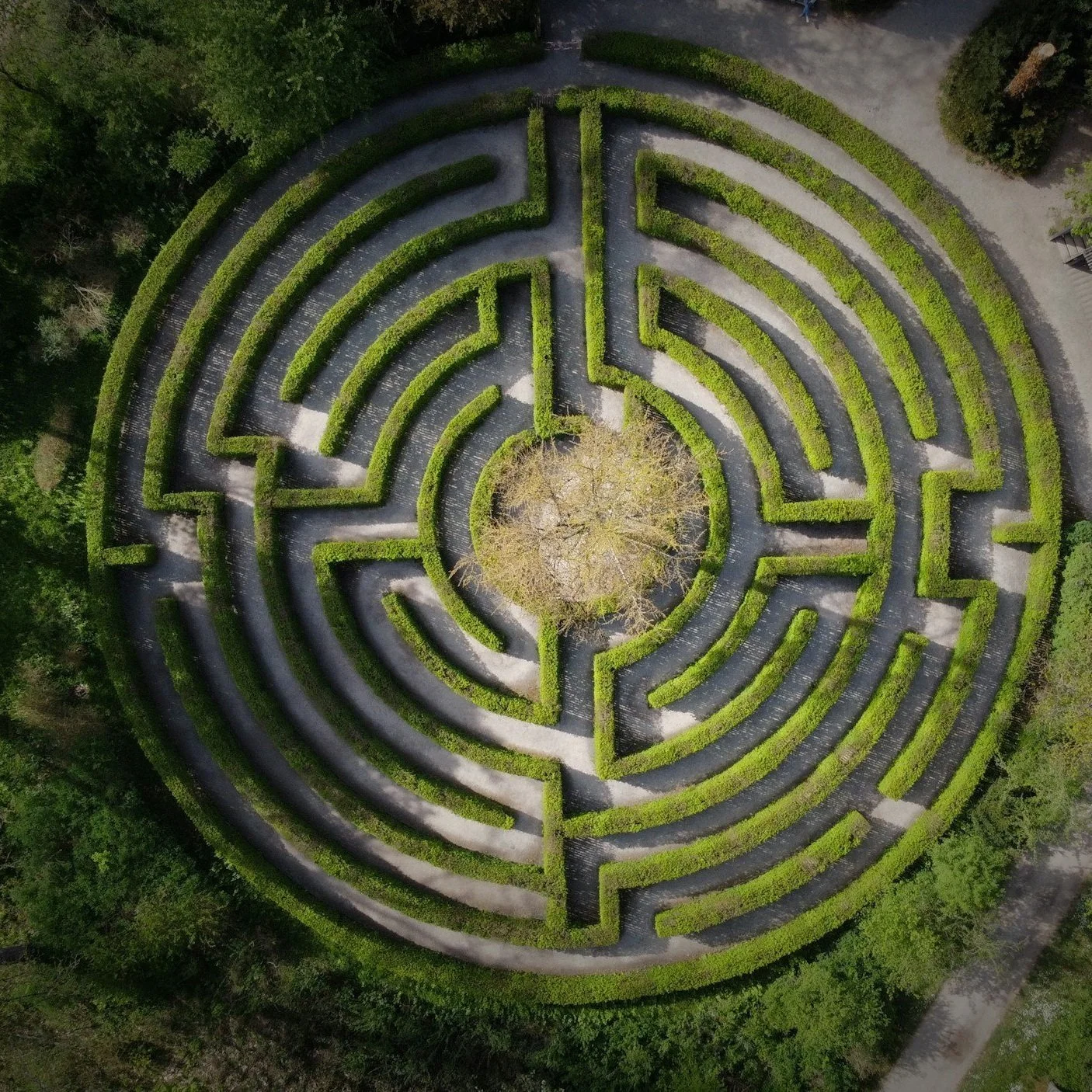 Chronic Eating Disorders in 2026: Why These Patterns Are Adaptive Not Failures