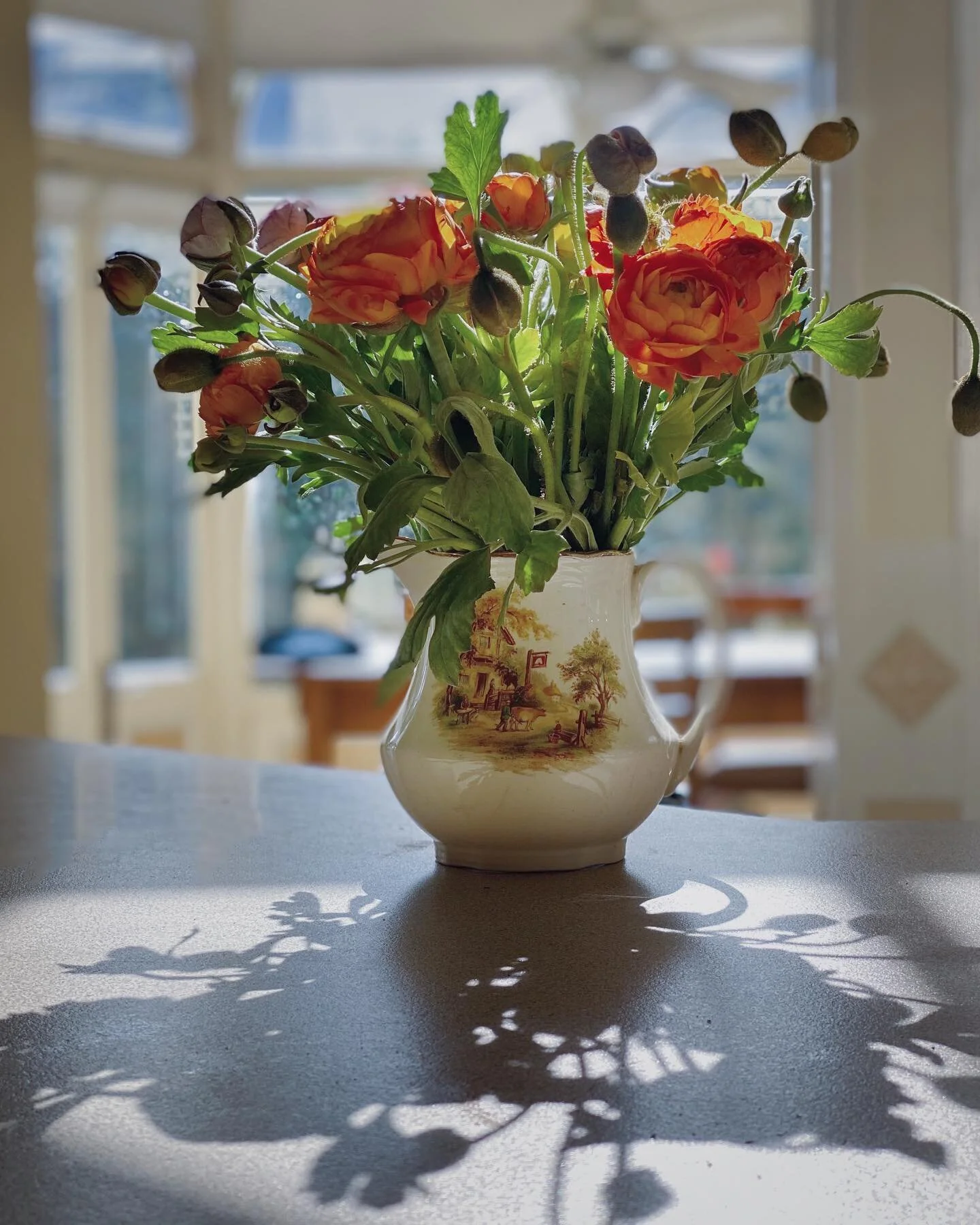 That light though! Those shadows on the kitchen bench! 😍 #welcomebacksun #embracingtheseasons #flowersonlyflowers #hellospring🌸