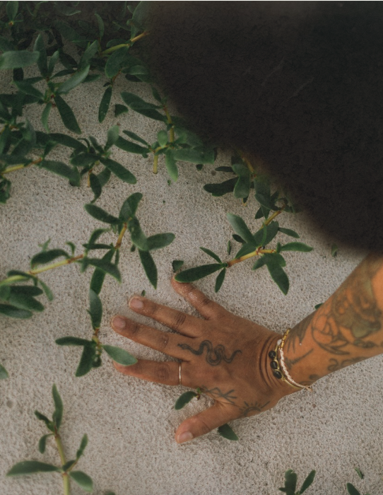 Screen Shot 2025-02-04 at 4.20.25 PM.png