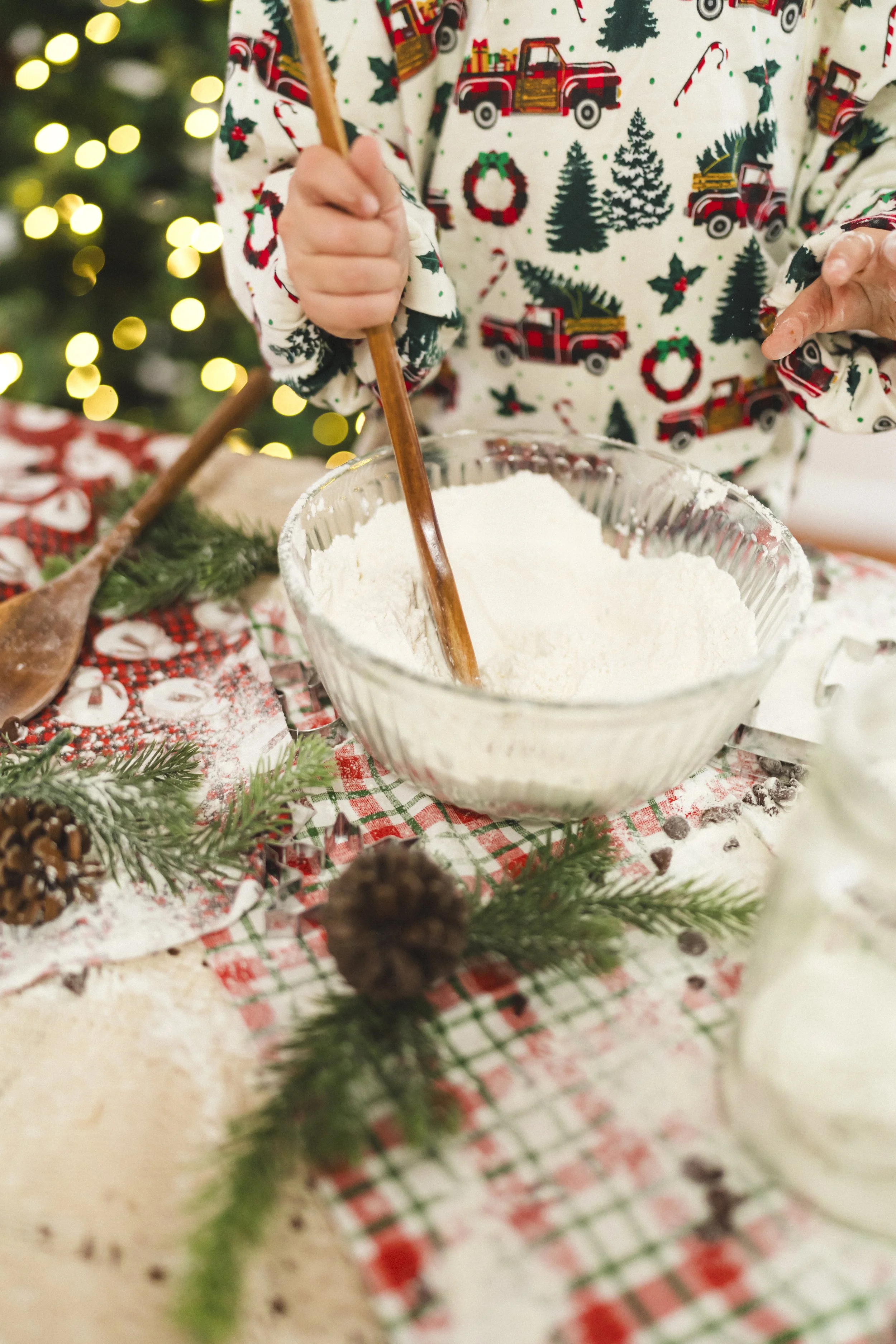 Holiday Mini Sessions | Laini Photo