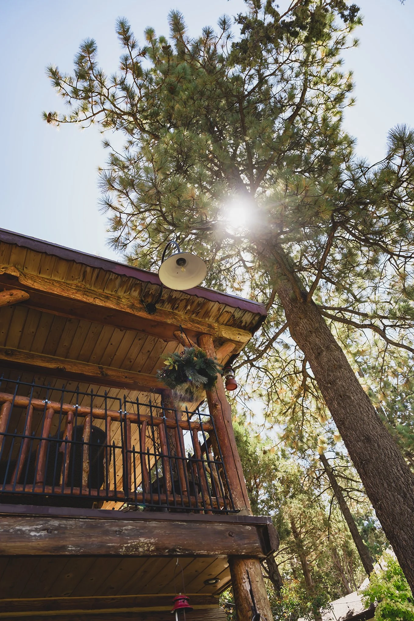 LainiPhoto_Serenity-Oasis_Big-Bear-Retreat-2025 (1).jpg