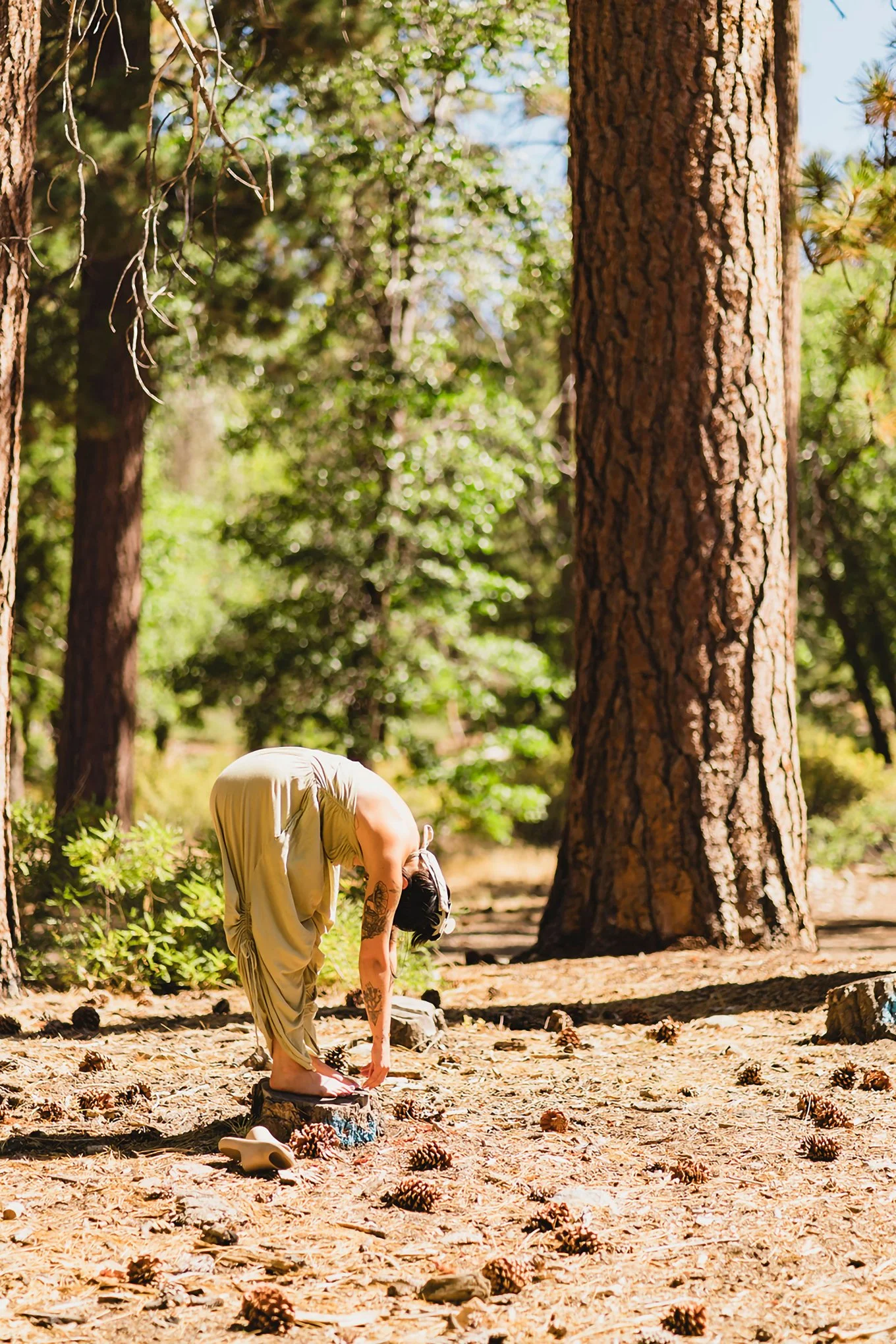 LainiPhoto_Serenity-Oasis_Big-Bear-Retreat-2025 (55).jpg