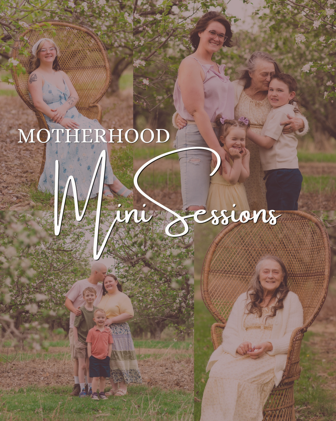 Spring Mini Sessions at Dougherty’s Orchard | Indiana Family Photographer
