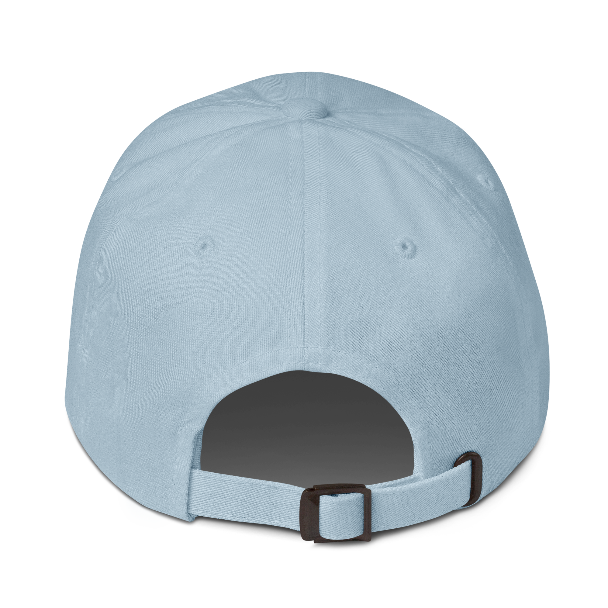 classic-dad-hat-light-blue-back-69f917b6eb46f.png
