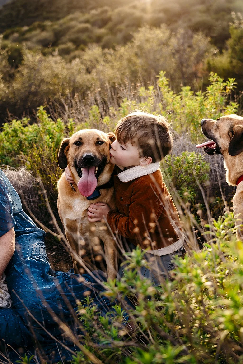In-home family photography session in Indiana capturing candid, playful moments between parents and young children in a farmhouse setting.