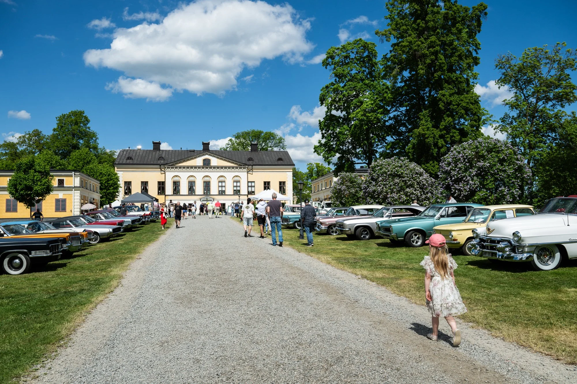 grynfarb29052025_DSC0448.jpg