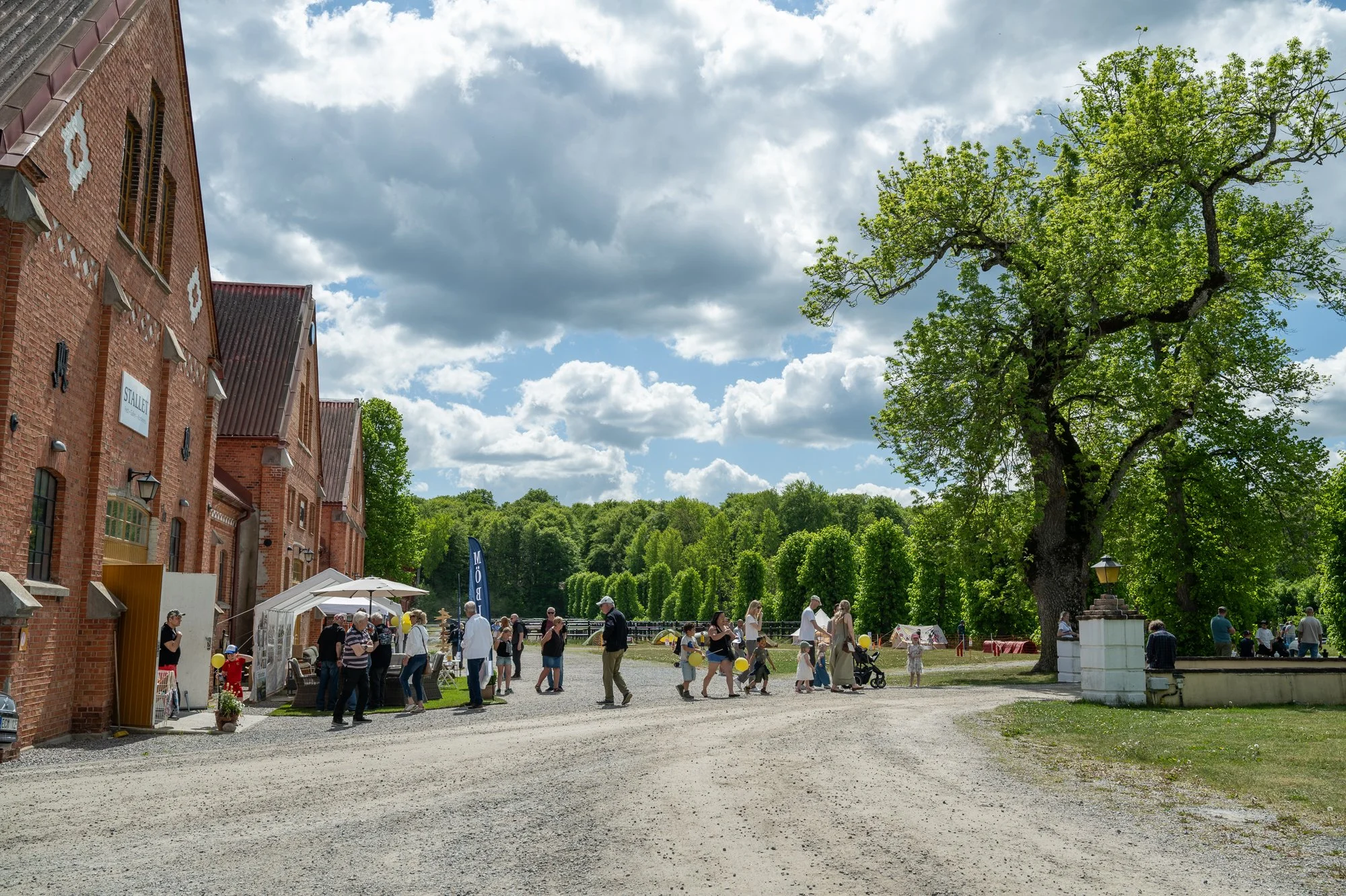 grynfarb29052025_DSC0433.jpg