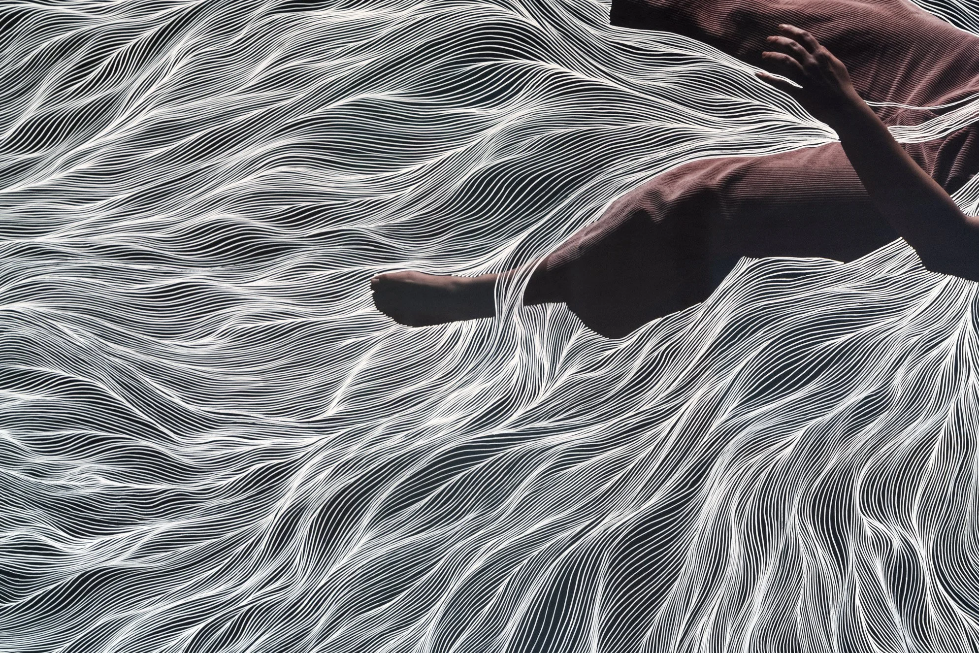 Assamble-Laccaria-infinitely-held-detail_DSC7547.jpg