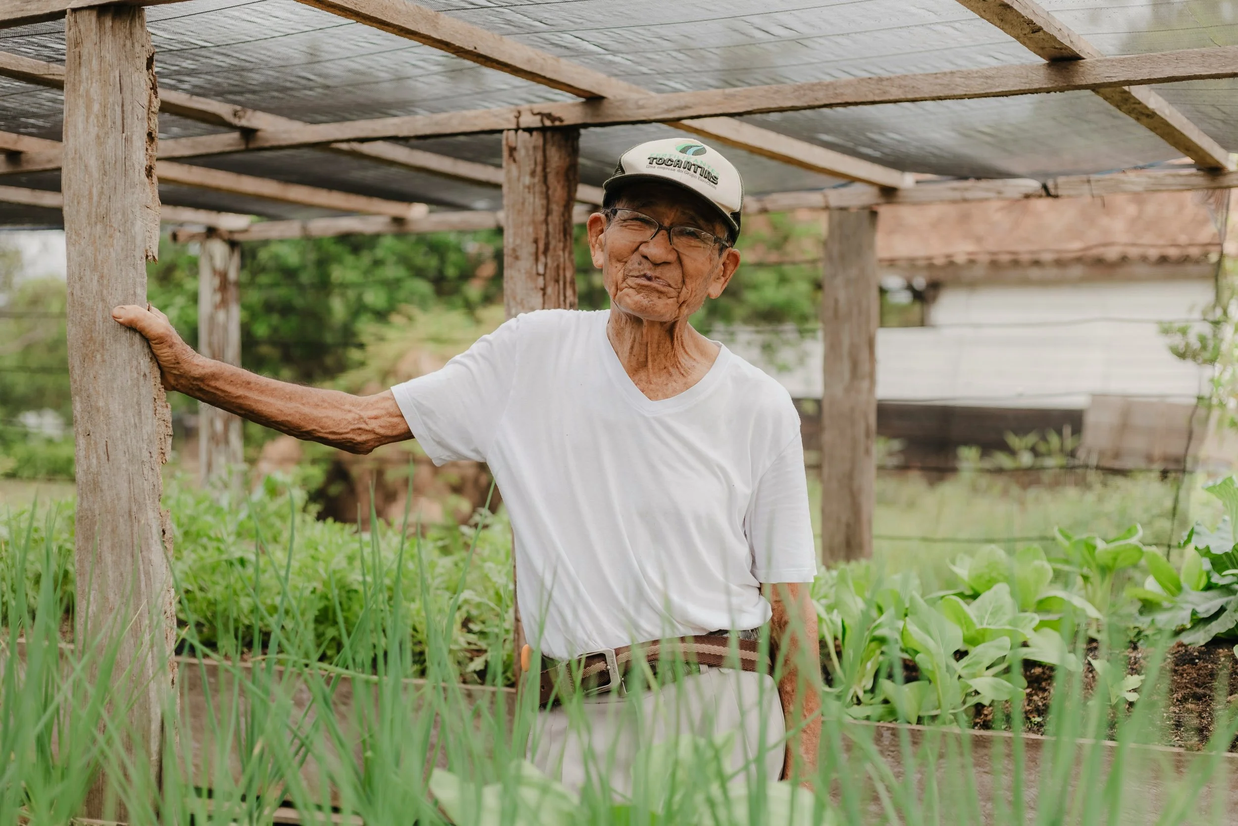 An elderly man wearing a white t-shirt, glasses, and a baseball cap stands in a garden under a wooden structure with solar panels, holding onto a wooden post, surrounded by green plants.