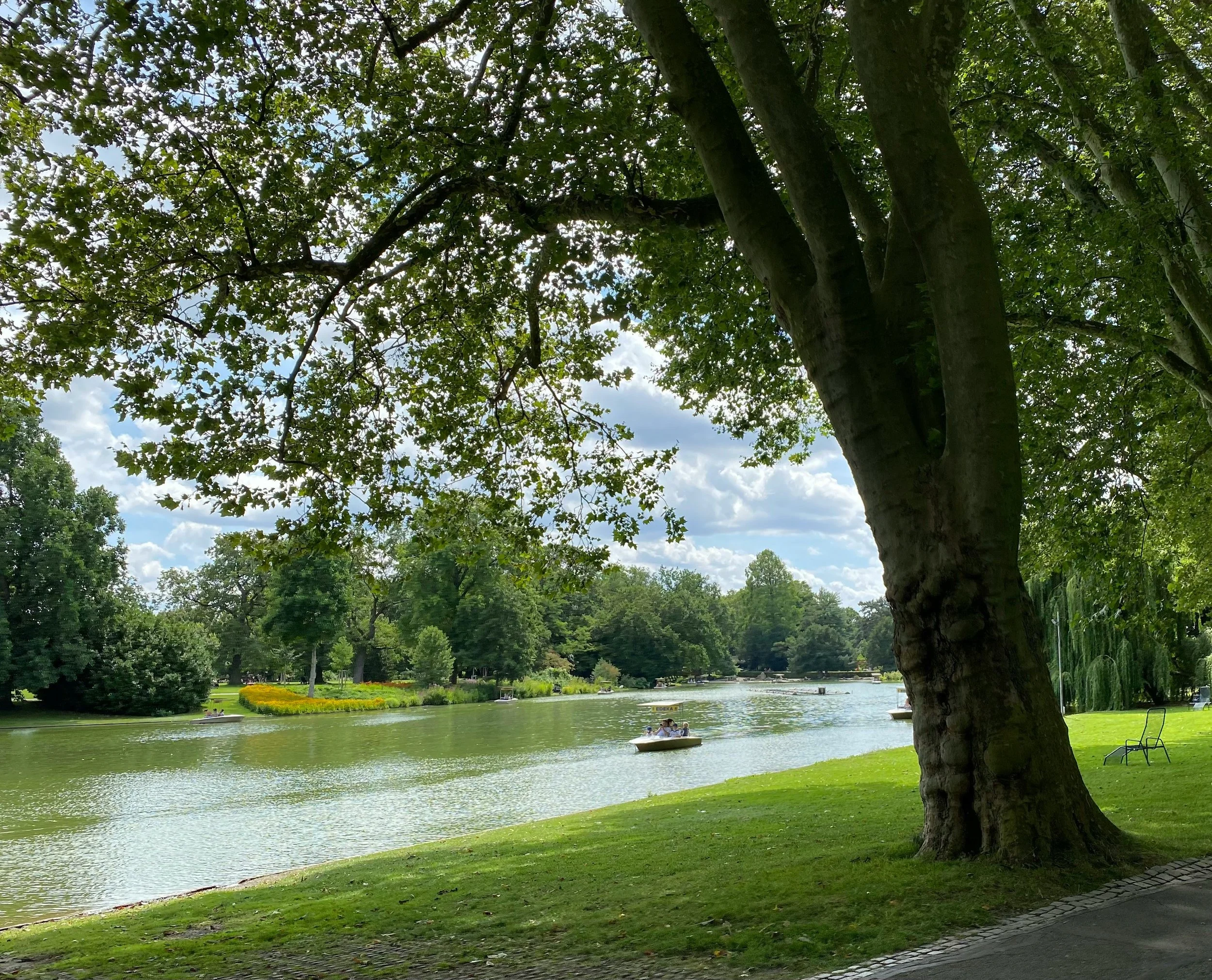 A peaceful park scene with a large tree by the water, green grass, boats on the river, and a cloudy sky.