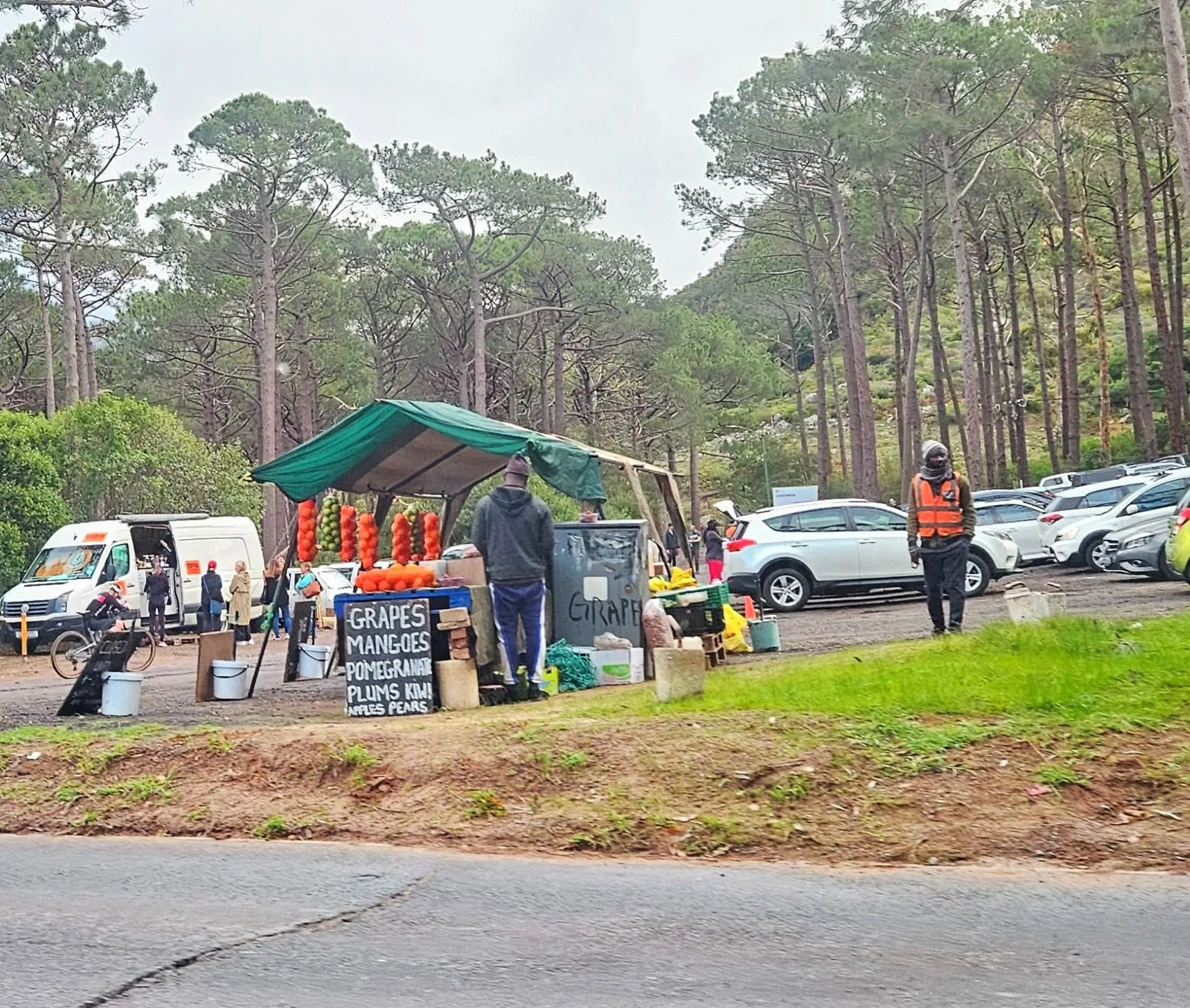 A small roadside fruit stand selling grapes, mangos, pomegranates, plums, kiwis, and peaches, located near a parking area and surrounded by tall pine trees.