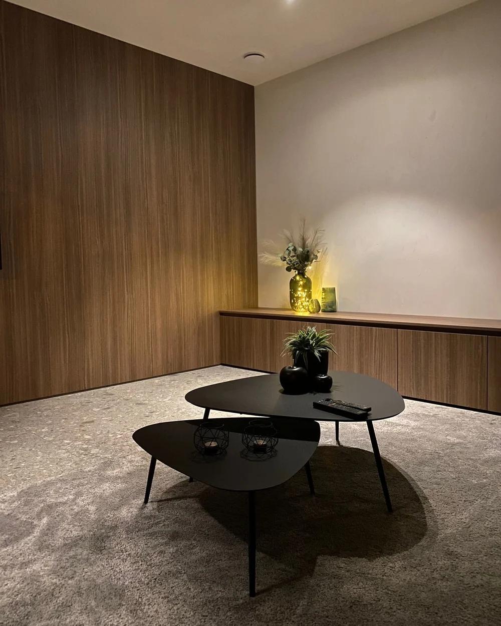 Kasten living op maat Ham.jpeg