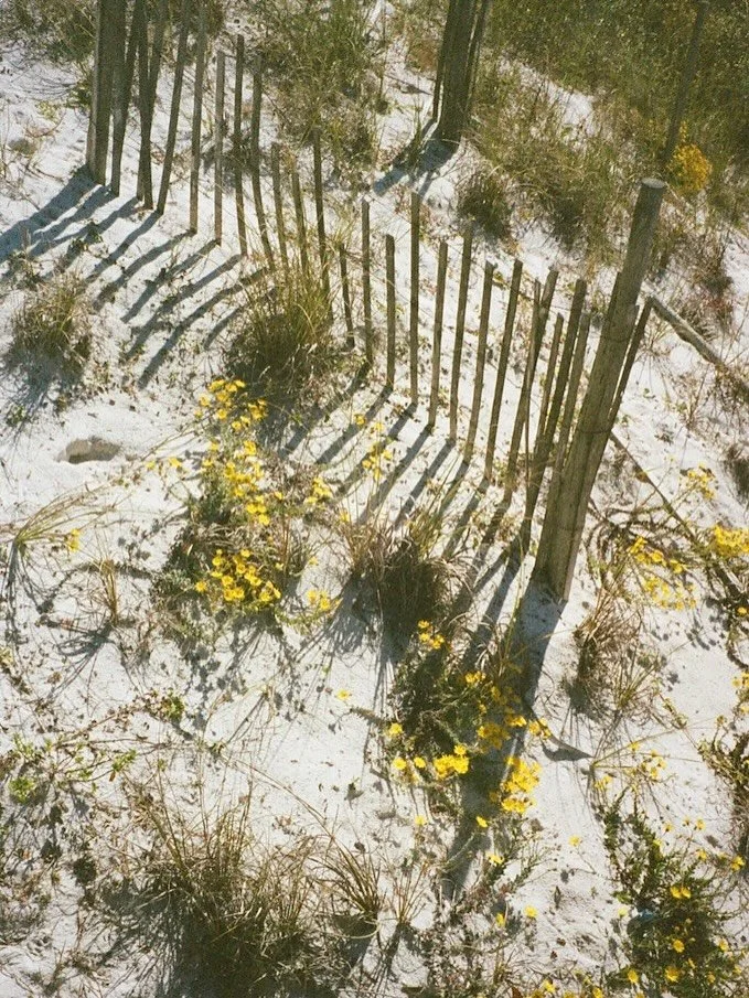 rosemary beach, on film 🐚