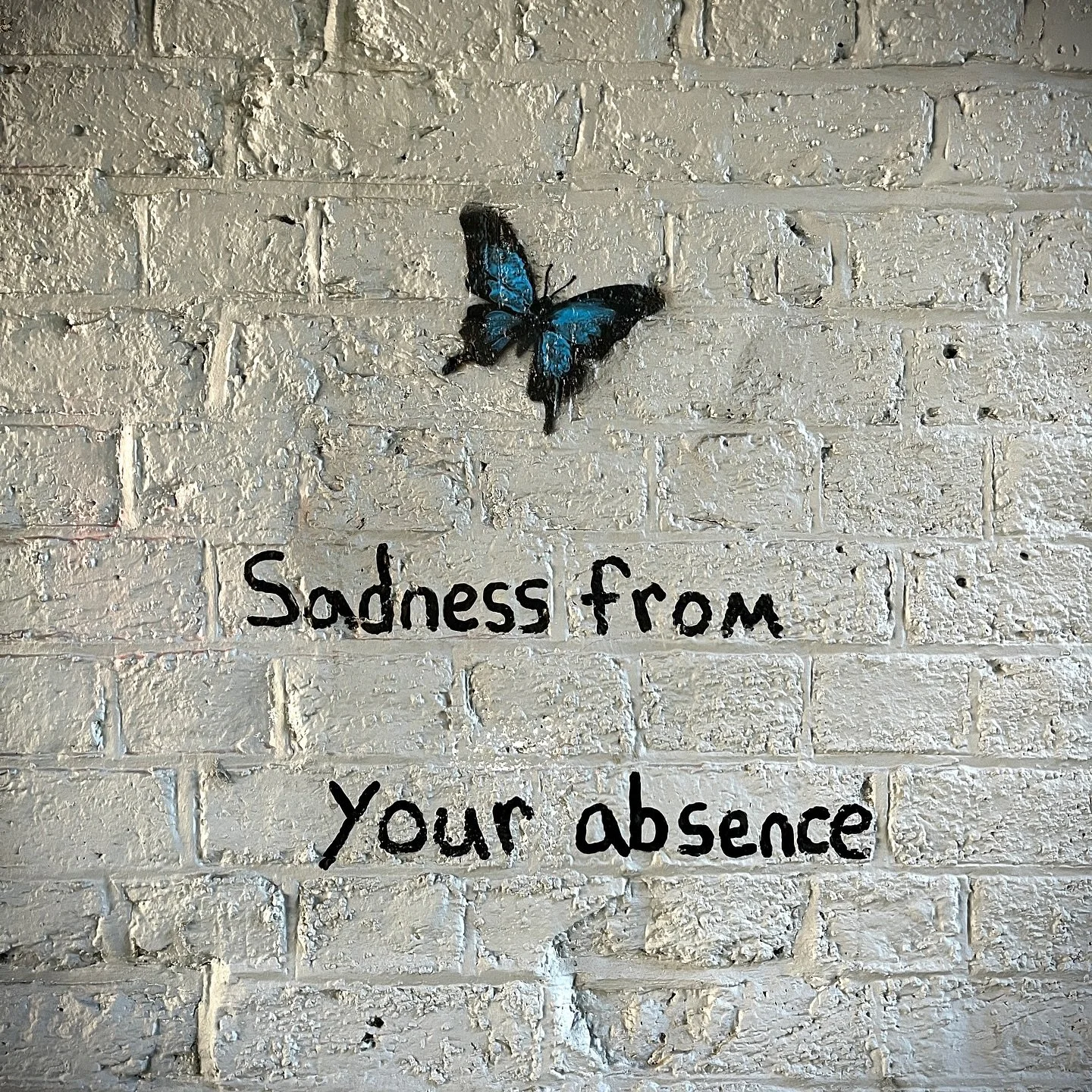 sadness from your absence
sadness from the idea of what could’ve been.
what could’ve been a loving relationship with my sister instead of her lust for drugs.
what could’ve been a loving mother instead of a abusive narcissist.
w