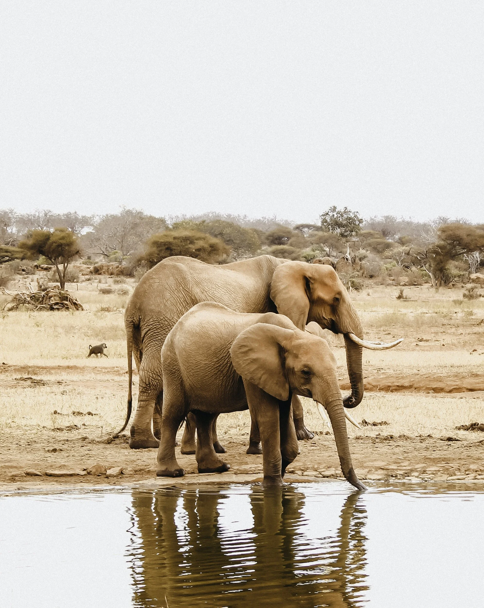Kenya