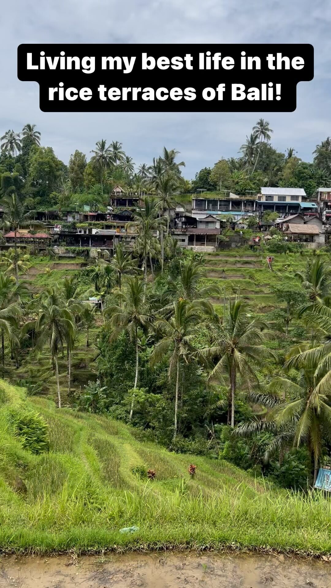 Live it! #eattheworldwithme #livelifeoutside #bali #indonesia #riceterracebali #lovemylife πΈπ